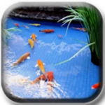 Logo of Koi fish pond II android Application 