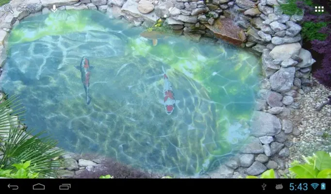 Koi fish pond II android App screenshot 0