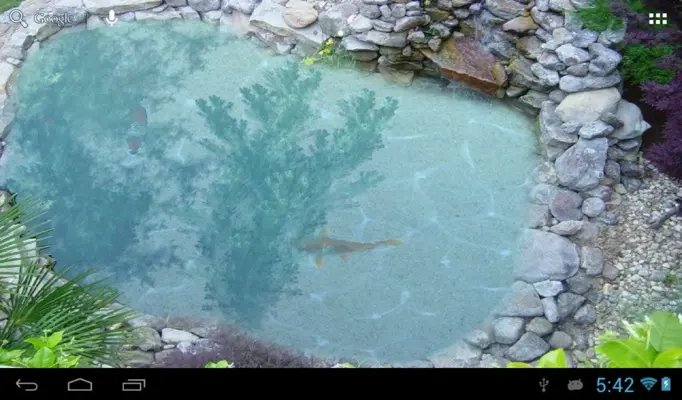 Koi fish pond II android App screenshot 1