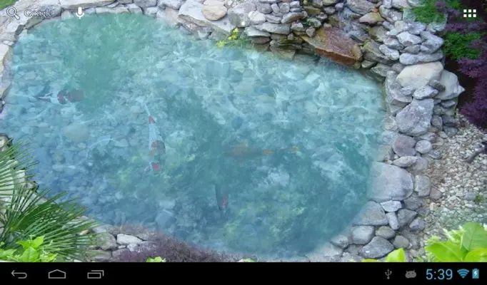 Koi fish pond II android App screenshot 2